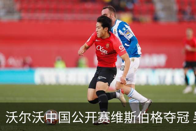 沃尔沃中国公开赛维斯伯格夺冠 吴阿顺T8彭博T13